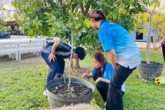 LINE_ALBUM_เกษตร220169_260123_173