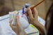 AP7A8086_resize