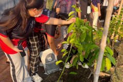 LINE_ALBUM_2025.5.23_250523_14