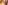 IMG_2524_resize