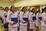 _MG_1204_resize