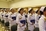 _MG_1205_resize