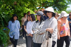 DSC06203