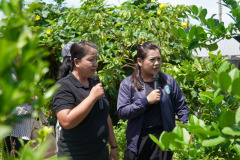 DSC06268