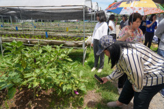 DSC06564