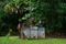 LINE_ALBUM_2024.6.24_240624_1
