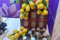 LINE_ALBUM_21667_240624_9