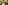 IMG_0548_resize