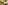 IMG_0586_resize