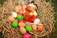 6P3A3454_resize