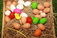 6P3A3455_resize