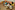 6P3A3573_resize