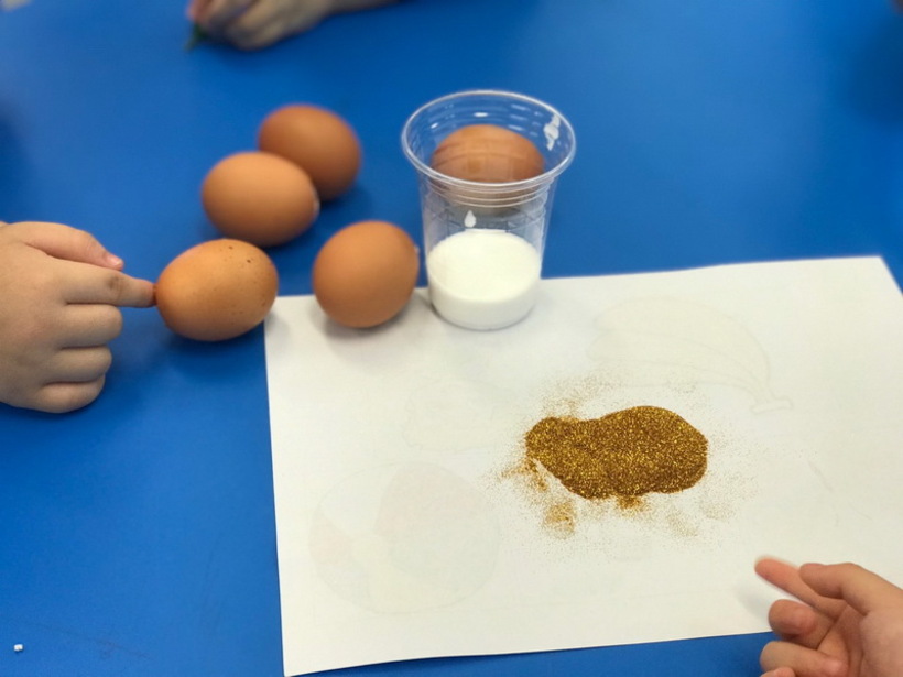 Why eggs สุพรรณบุรี 24042562_190424_0023_resize