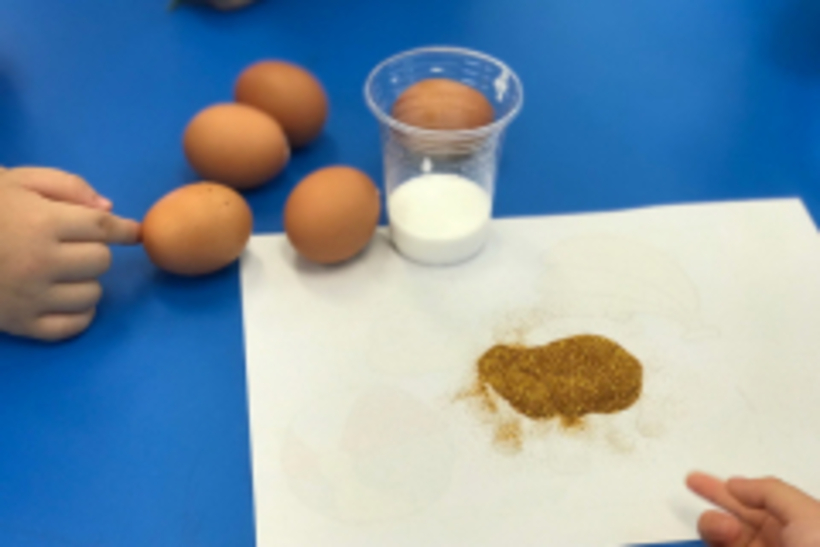 Why eggs สุพรรณบุรี 24042562_190424_0023_resize