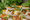 209A8219_resize