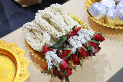 AI5A4461_resize