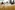 IMG_0070_resize