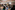 AP7A3577_resize