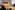 AP7A3583_resize