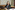 DSC01210_resize