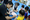 IMG_5528_resize