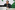 6P3A3156_resize