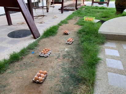 เหยียบอย่างไรไม่ให้ไข่แตก​ นครนายก​ 25462_190425_00_27_resize