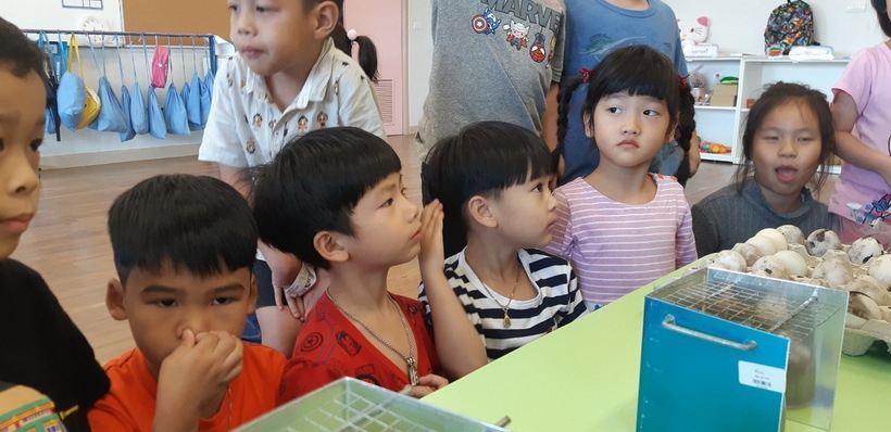ไหม้หรือไม่ไหม้_190425_0024_resize