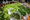 6P3A4515_resize