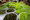 6P3A4516_resize