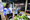 6P3A4534_resize