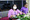 6P3A4555_resize