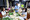 6P3A4576_resize