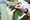 6P3A4589_resize