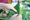 6P3A4590_resize