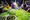 6P3A4627_resize