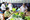 6P3A4635_resize