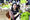 6P3A4636_resize