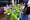 6P3A4644_resize