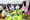 6P3A4648_resize