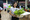 6P3A4655_resize