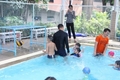 IMG_6868_resize