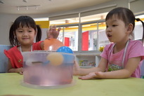 Sensory discoveries​    #นครนายก​ 2632562_190326_0038_resize