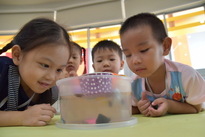 Sensory discoveries​    #นครนายก​ 2632562_190326_0041_resize