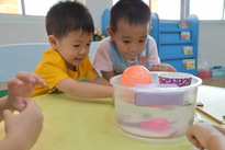 Sensory discoveries​    #นครนายก​ 2632562_190326_0047_resize