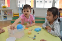 Sensory discoveries​    #นครนายก​ 2632562_190326_0058_resize