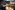 AP7A7181_resize