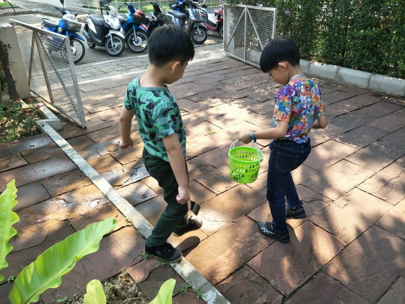 ฟอตซิลไข่.#LP_190426_0013_resize
