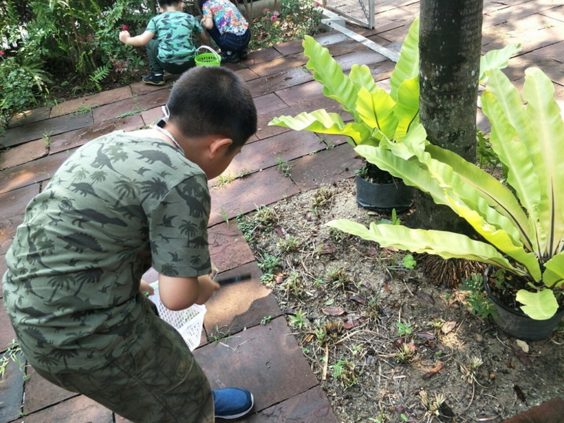 ฟอตซิลไข่.#LP_190426_0014_resize