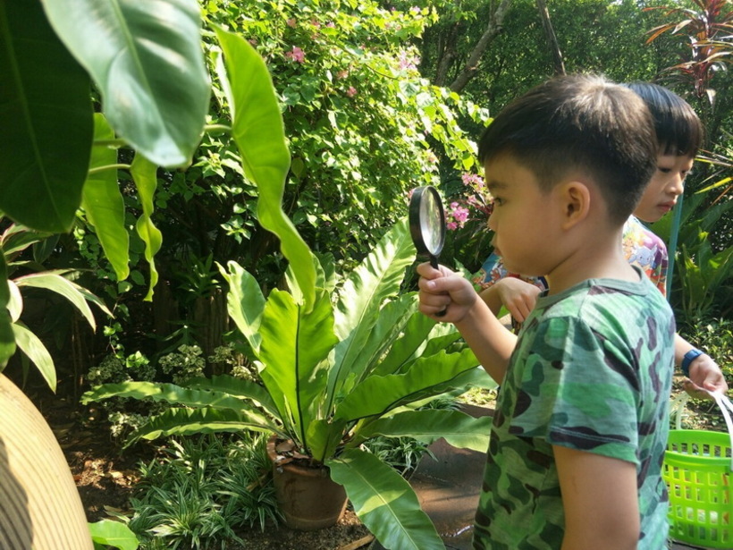 ฟอตซิลไข่.#LP_190426_0016_resize